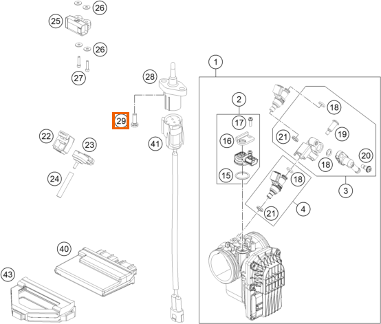 Śruba owalna z gniazdem Torx wewnętrznym